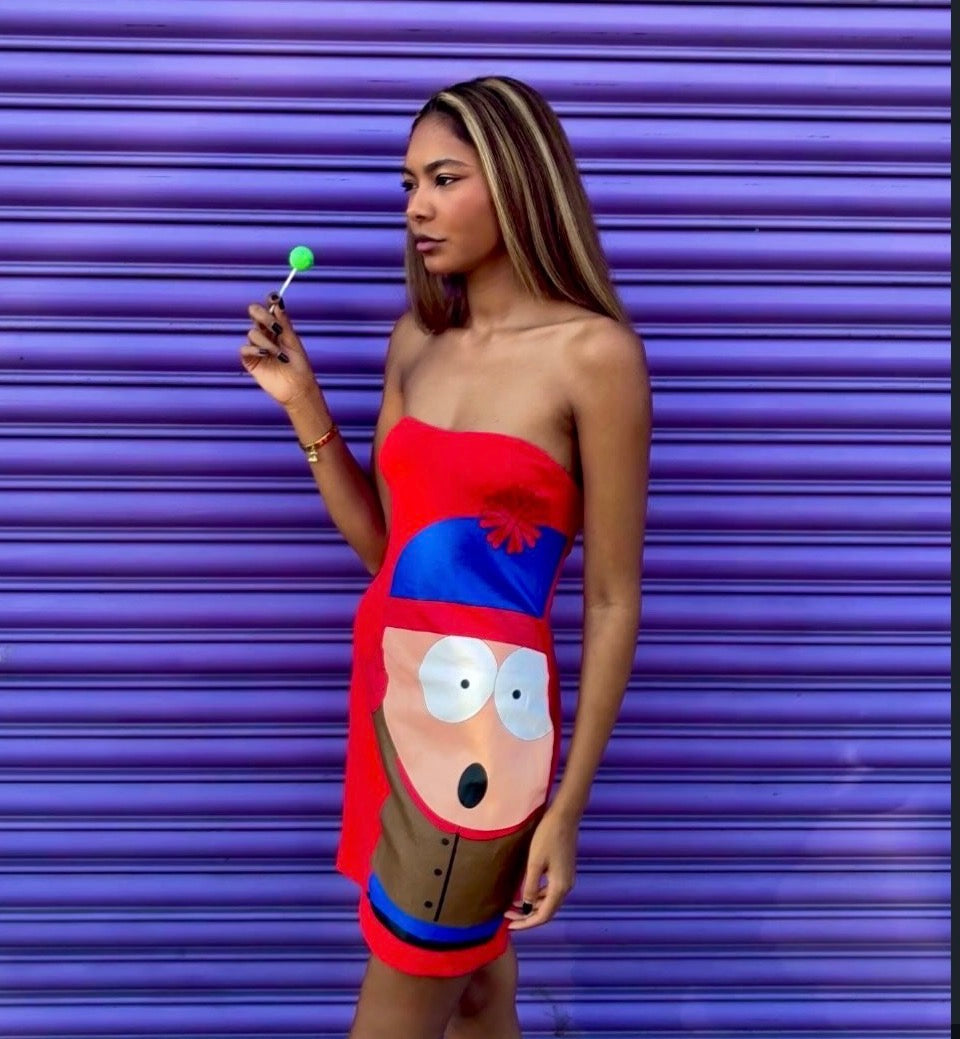 Iconic JCDC x South Park Stan dress