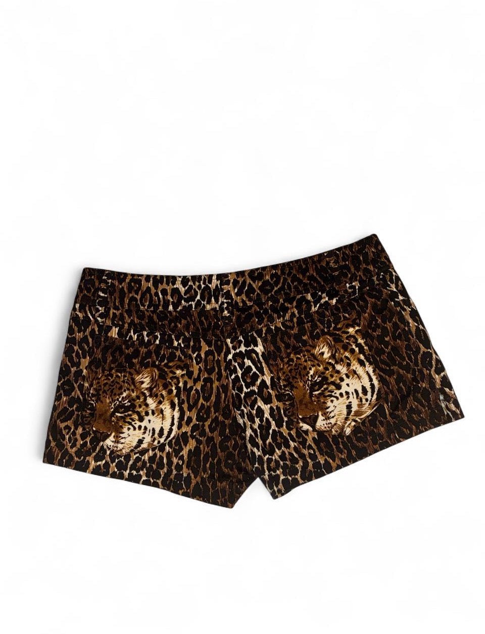Vintage D&G beachwear shorts
